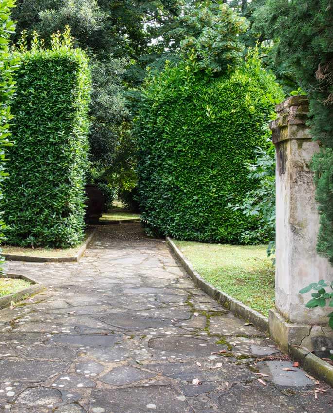 Casa di riposo Firenze